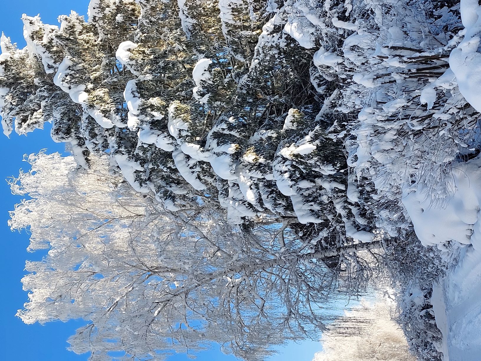 Slide 2 Slide background