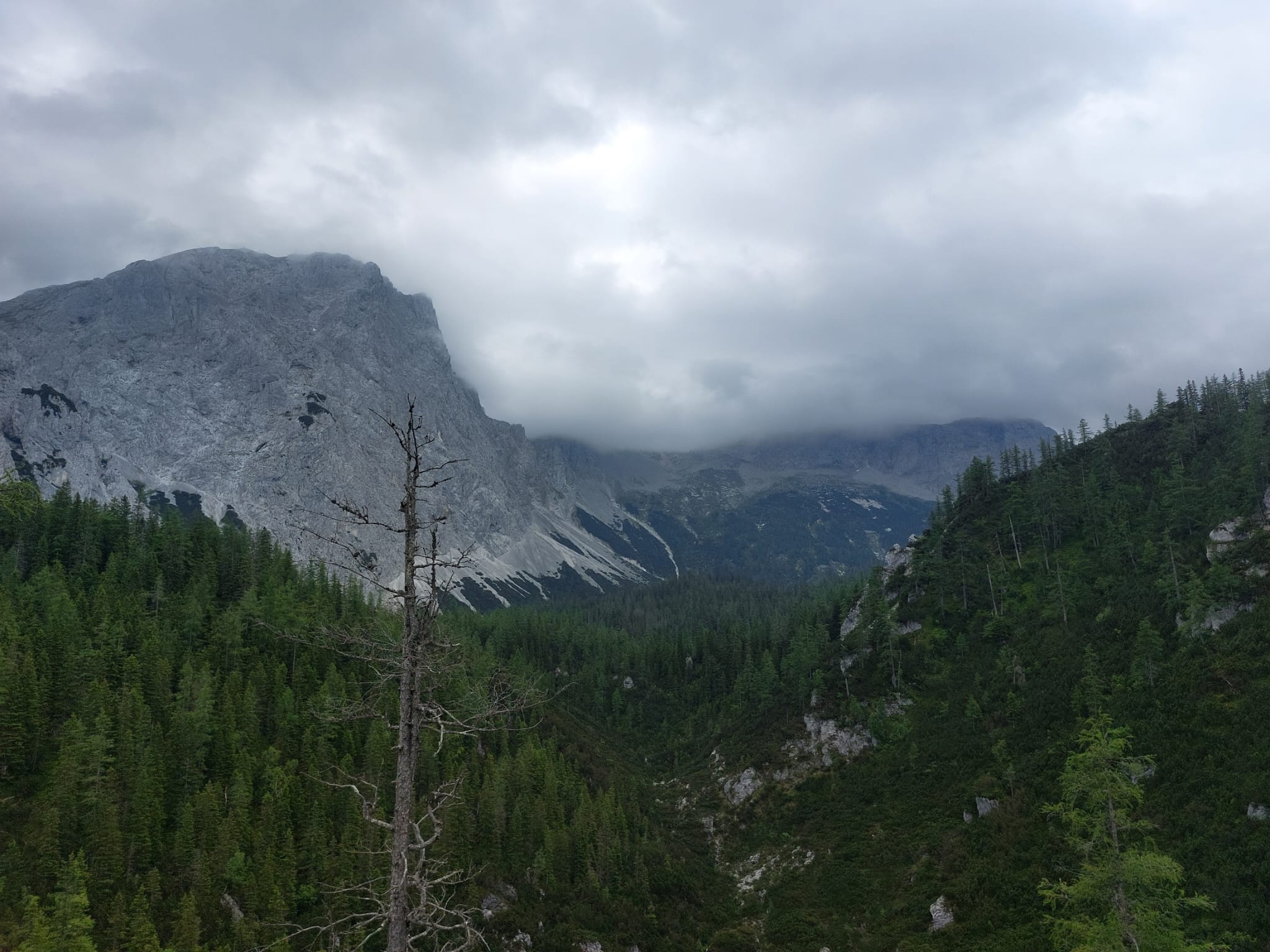 IMG 20250622 WA0001