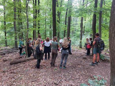 lainzer tiergarten